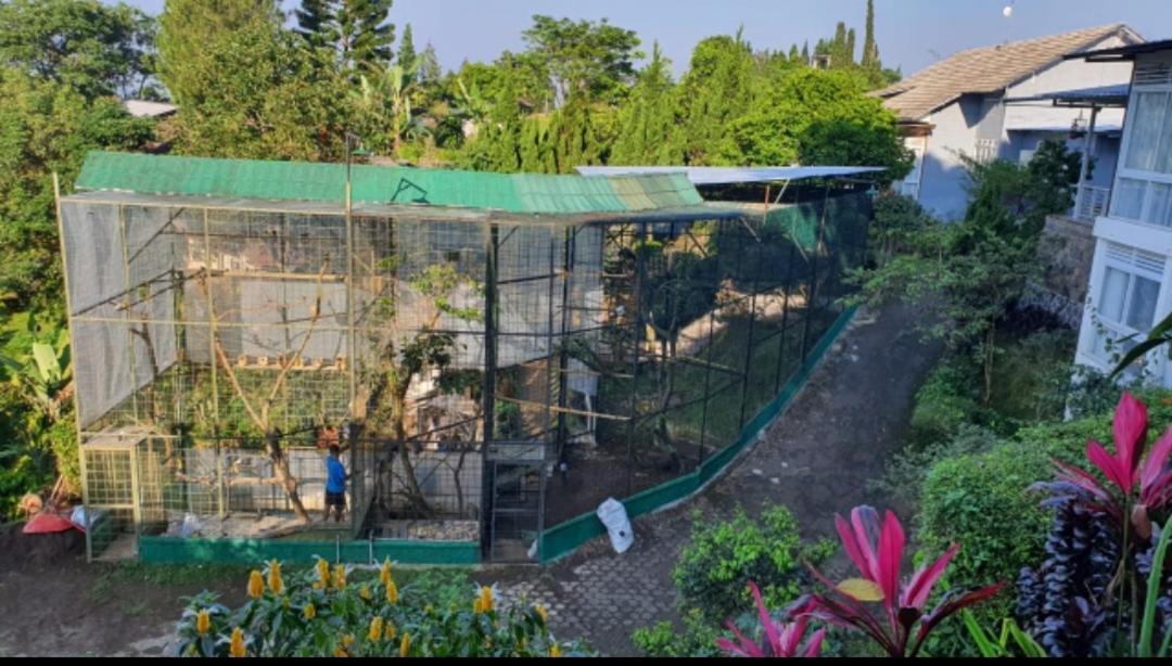 Villa Chacha At Macarena, Megamendung מראה חיצוני תמונה